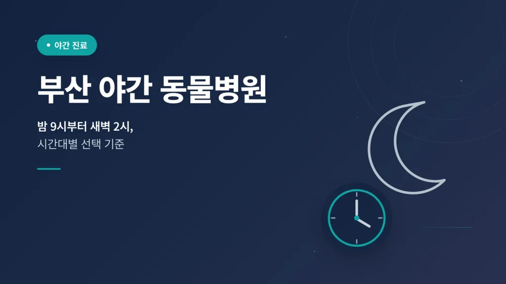 부산 야간 동물병원 대표 이미지