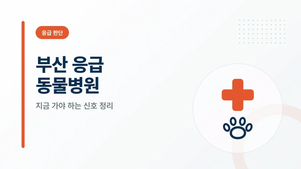 부산 응급 동물병원 대표 이미지
