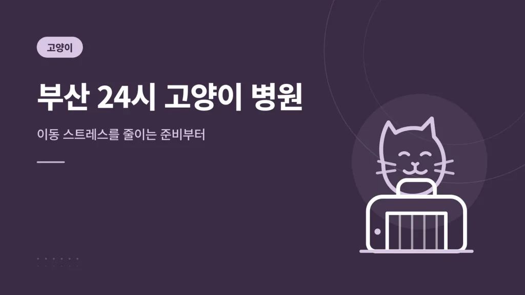 부산 24시 고양이 병원 대표 이미지